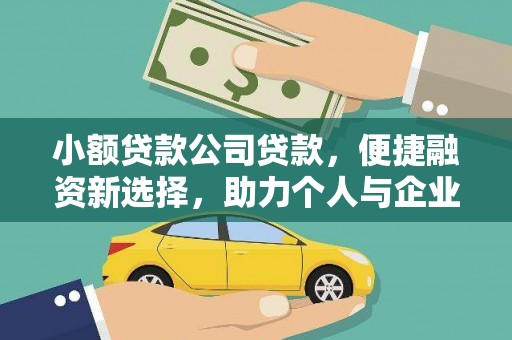 囊谦小额贷款公司贷款，便捷融资新选择，助力个人与企业成长