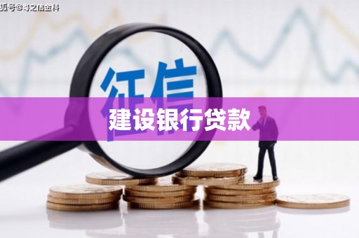囊谦建设银行贷款