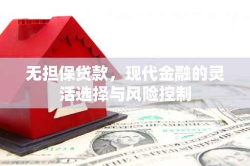 囊谦无担保贷款，现代金融的灵活选择与风险控制