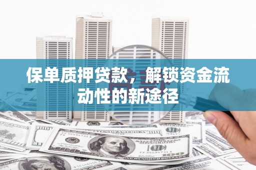 囊谦保单质押贷款，解锁资金流动性的新途径