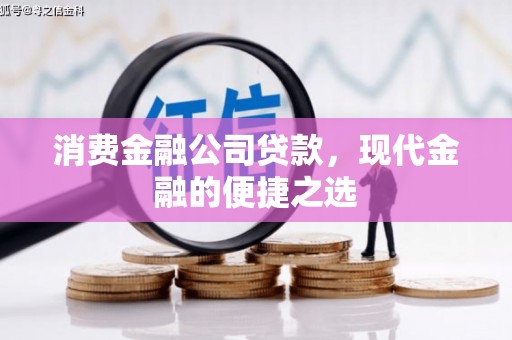 囊谦消费金融公司贷款，现代金融的便捷之选
