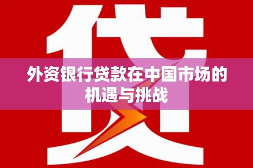 囊谦外资银行贷款在中国市场的机遇与挑战