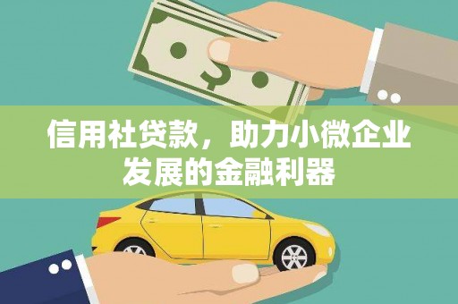 囊谦信用社贷款，助力小微企业发展的金融利器