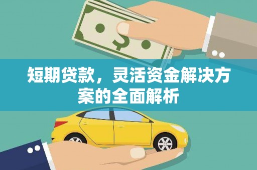 囊谦短期贷款，灵活资金解决方案的全面解析