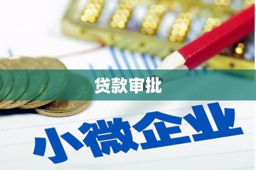 囊谦贷款审批