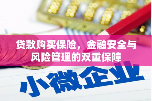 囊谦贷款购买保险，金融安全与风险管理的双重保障
