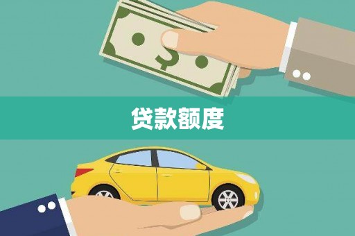 囊谦贷款额度