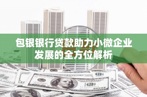 囊谦包银银行贷款助力小微企业发展的全方位解析