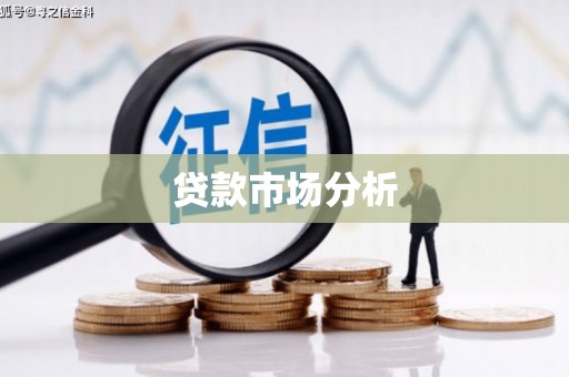 囊谦贷款市场分析