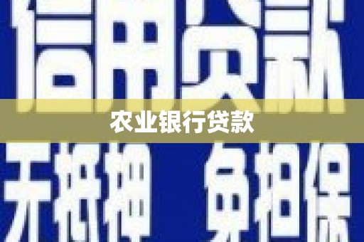 囊谦农业银行贷款