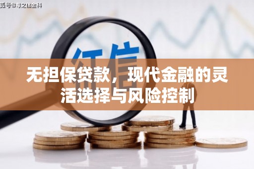 囊谦无担保贷款，现代金融的灵活选择与风险控制