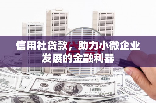 囊谦信用社贷款，助力小微企业发展的金融利器