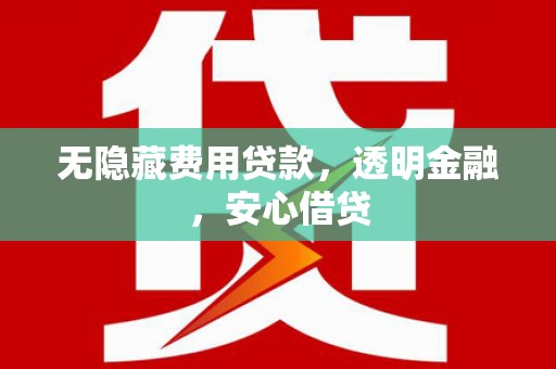囊谦无隐藏费用贷款，透明金融，安心借贷
