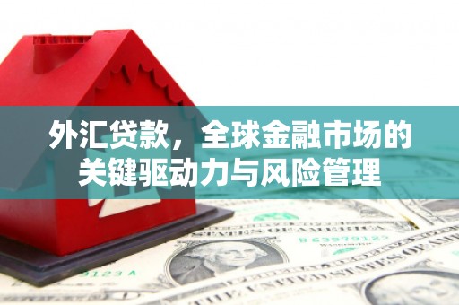 囊谦外汇贷款，全球金融市场的关键驱动力与风险管理