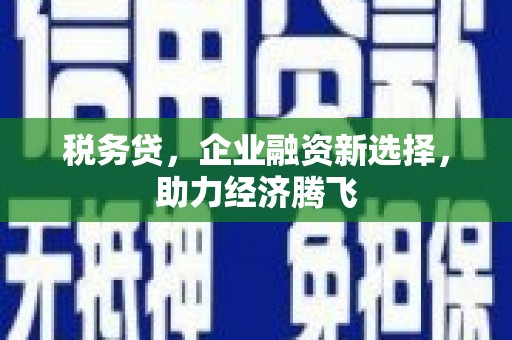 囊谦税务贷，企业融资新选择，助力经济腾飞