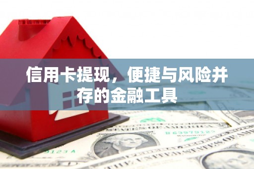 囊谦信用卡提现，便捷与风险并存的金融工具
