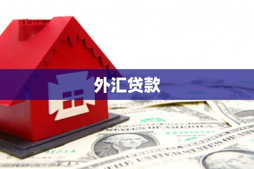 囊谦外汇贷款