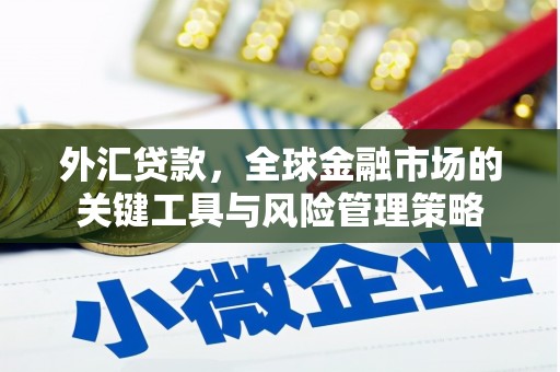 囊谦外汇贷款，全球金融市场的关键工具与风险管理策略
