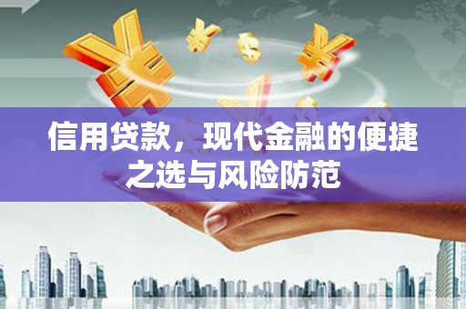 囊谦信用贷款，现代金融的便捷之选与风险防范