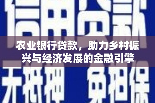 囊谦农业银行贷款，助力乡村振兴与经济发展的金融引擎
