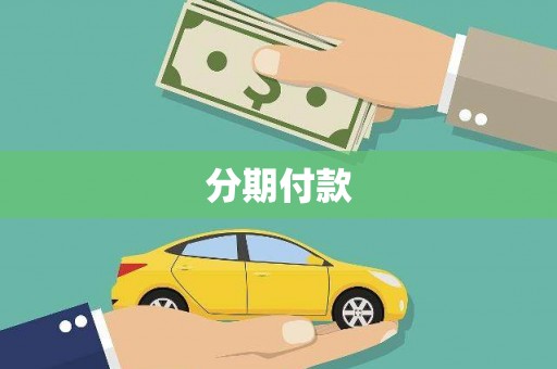 囊谦分期付款