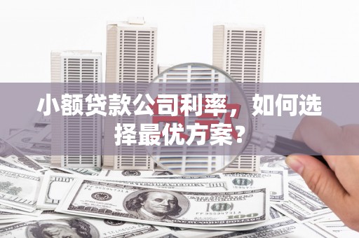 囊谦小额贷款公司利率，如何选择最优方案？