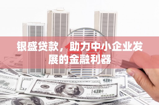 囊谦银盛贷款，助力中小企业发展的金融利器