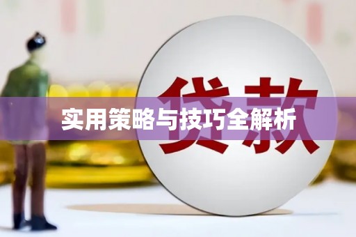 囊谦实用策略与技巧全解析