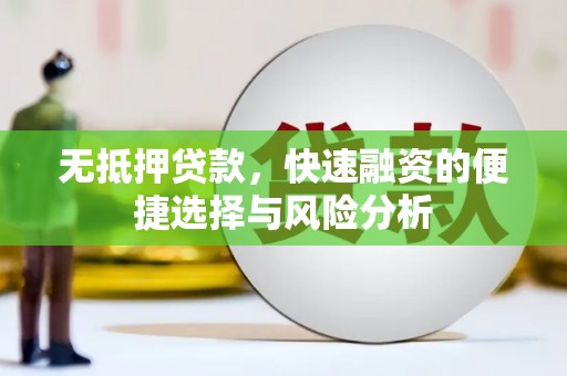 囊谦无抵押贷款，快速融资的便捷选择与风险分析