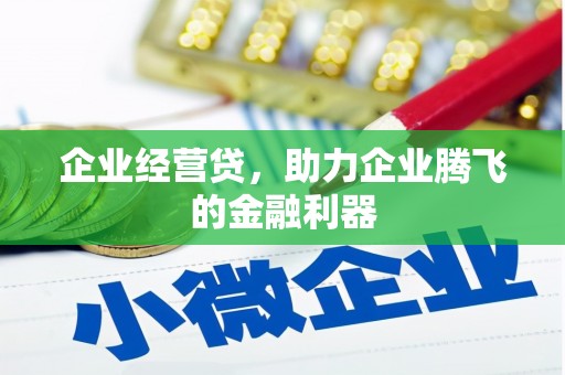 囊谦企业经营贷，助力企业腾飞的金融利器