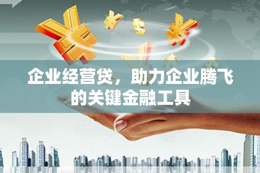 囊谦企业经营贷，助力企业腾飞的关键金融工具