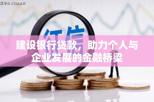 囊谦建设银行贷款，助力个人与企业发展的金融桥梁