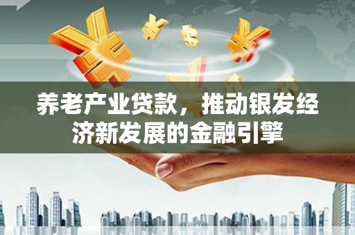 囊谦养老产业贷款，推动银发经济新发展的金融引擎