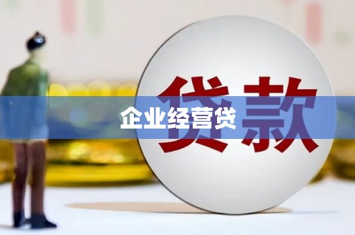 囊谦企业经营贷