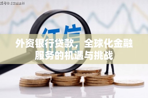 囊谦外资银行贷款，全球化金融服务的机遇与挑战