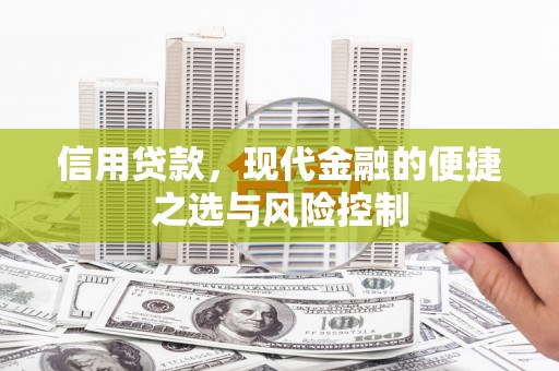 囊谦信用贷款，现代金融的便捷之选与风险控制