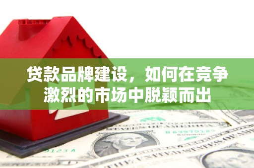 囊谦贷款品牌建设，如何在竞争激烈的市场中脱颖而出