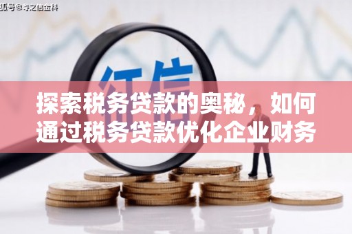 囊谦探索税务贷款的奥秘，如何通过税务贷款优化企业财务