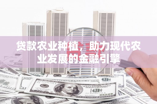 囊谦贷款农业种植，助力现代农业发展的金融引擎