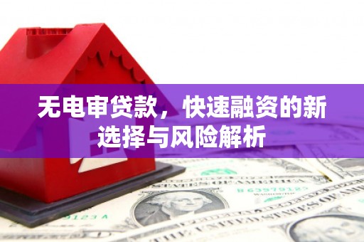 囊谦无电审贷款，快速融资的新选择与风险解析