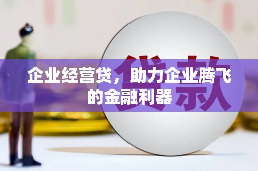 囊谦企业经营贷，助力企业腾飞的金融利器