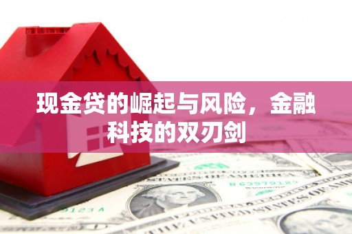囊谦现金贷的崛起与风险，金融科技的双刃剑