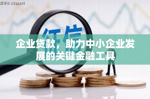 囊谦企业贷款，助力中小企业发展的关键金融工具