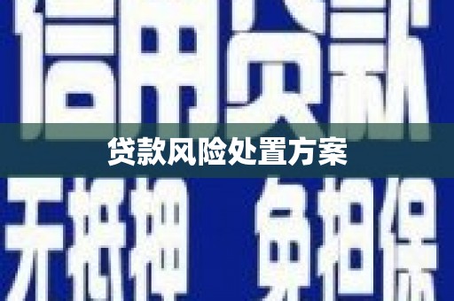 囊谦贷款风险处置方案