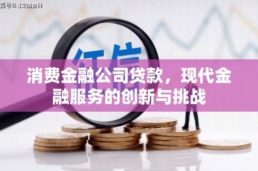 囊谦消费金融公司贷款，现代金融服务的创新与挑战