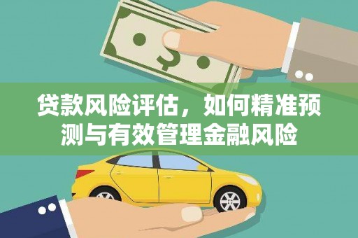 囊谦贷款风险评估，如何精准预测与有效管理金融风险