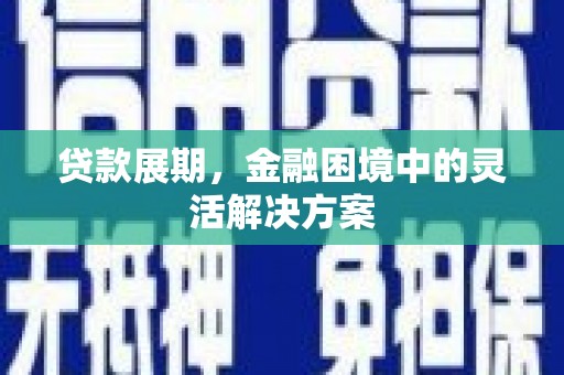 囊谦贷款展期，金融困境中的灵活解决方案