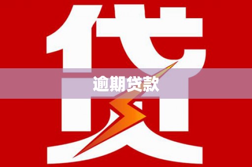 囊谦逾期贷款