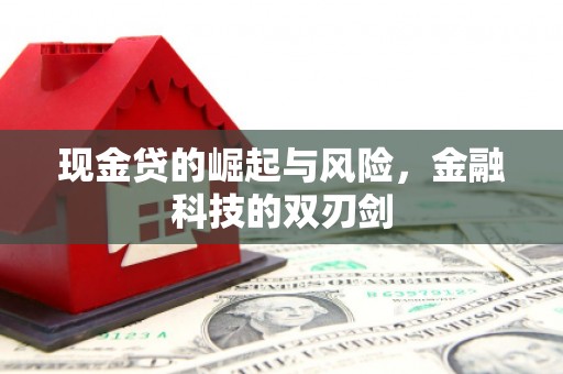 囊谦现金贷的崛起与风险，金融科技的双刃剑