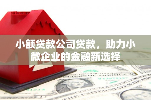 囊谦小额贷款公司贷款，助力小微企业的金融新选择